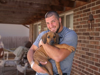 Bild von Tim Tebow