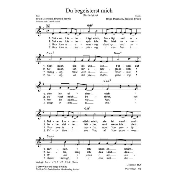 Produktbild des Artikels Du begeisterst mich / Hallelujah (Noten - Download)