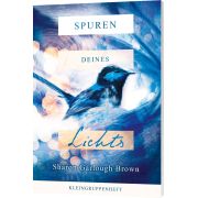 Produktbild des Artikels Buch - Geheftet, Spuren deines Lichts - Kleingruppenheft