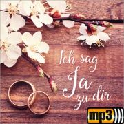 Produktbild des Artikels MP3-Album - Download, Ich sag Ja zu dir