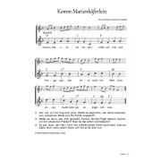 Produktbild des Artikels Noten - Download, Komm Marienkäferlein