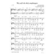 Produktbild des Artikels Noten - Download, Wie soll ich dich empfangen
