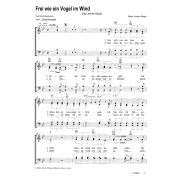 Produktbild des Artikels Noten - Download, Frei wie ein Vogel im Wind