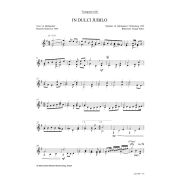 Produktbild des Artikels Noten - Download, In dulci jubilo