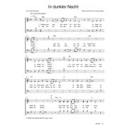 Produktbild des Artikels Noten - Download, In dunkler Nacht