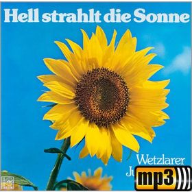 Hell strahlt die Sonne