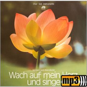 Produktbild des Artikels MP3-Track - Download Nun ruhen alle Wälder