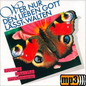 Produktbild des Artikels MP3-Track - Download Ich freu mich in dem Herren