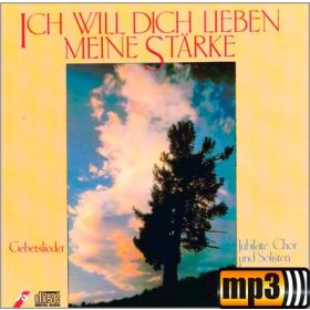 Produktbild des Artikels MP3-Album - Download Ich will dich lieben, meine Stärke