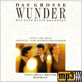 Produktbild des Artikels Das große Wunder hat ganz klein begonnen (MP3-Track - Download)