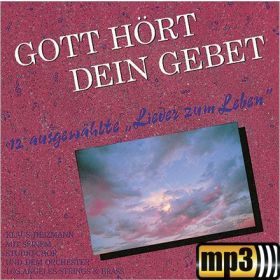 Produktbild des Artikels MP3-Track - Download Gott hört dein Gebet
