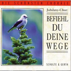 Produktbild des Artikels MP3-Album - Download Befiehl du deine Wege