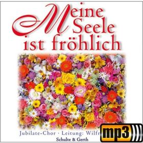 Produktbild des Artikels MP3-Album - Download Meine Seele ist froehlich