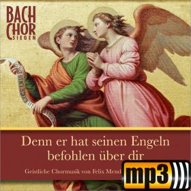 Produktbild des Artikels MP3-Track - Download Warum toben die Heiden