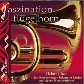 Produktbild des Artikels MP3-Album - Download Faszination Flügelhorn