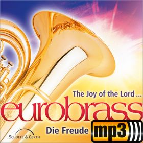 Produktbild des Artikels Dir gebührt die Ehre - Ich bet dich an (MP3-Track - Download)