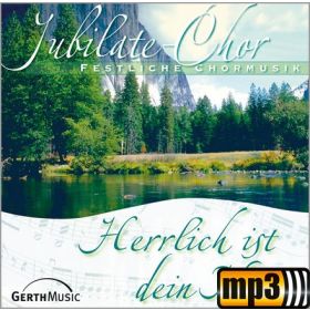Produktbild des Artikels MP3-Album - Download Herrlich ist dein Name