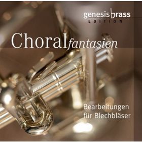 Produktbild des Artikels MP3-Album - Download Choralfantasien