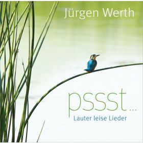 Produktbild des Artikels MP3-Track - Download Vergiss es nie
