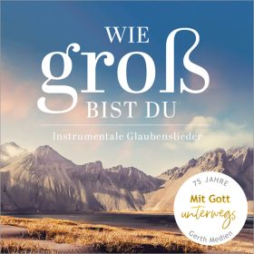 Produktbild des Artikels MP3-Album - Download Wie groß bist du
