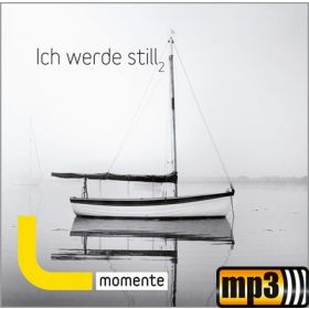 Produktbild des Artikels MP3-Album - Download Ich werde still 2