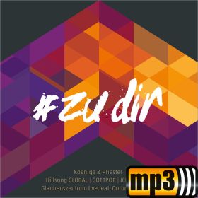 Produktbild des Artikels MP3-Album - Download #zudir