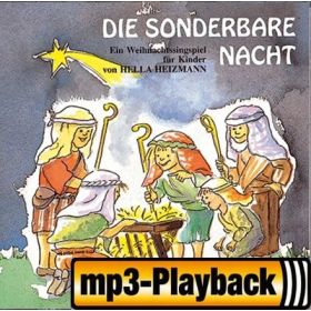 Produktbild des Artikels MP3-Track - Download Die sonderbare Nacht (Playback ohne Backings)