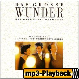 Produktbild des Artikels Ein Stern strahlt (Playback ohne Backings) (MP3-Track - Download)