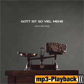 Produktbild des Artikels MP3-Track - Download Niemand so wie du (Playback ohne Backings)