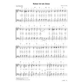 Produktbild des Artikels Keiner ist wie Jesus / The Song Of The Soul Set Free (Noten - Download)