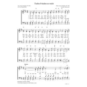 Produktbild des Artikels Tiefen Frieden so reich / Constantly Abiding (Noten - Download)