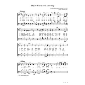 Produktbild des Artikels Noten - Download Meine Worte sind zu wenig
