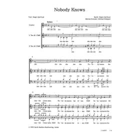 Produktbild des Artikels Noten - Download Nobody Knows