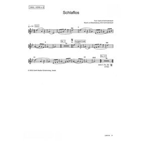 Produktbild des Artikels Die Nacht der Geschenke (ENGL.HORN in G) (Noten - Download)