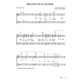 Produktbild des Artikels Mein Herz ist so voll Dank (Noten - Download)