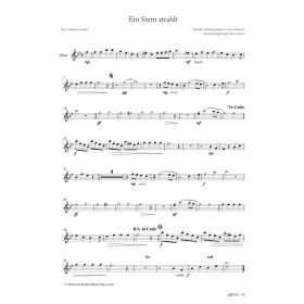 Produktbild des Artikels Noten - Download Ein Stern strahlt (Oboe)
