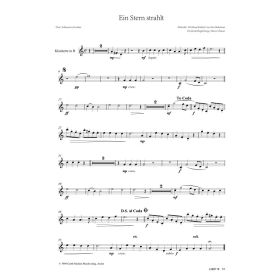 Produktbild des Artikels Noten - Download Ein Stern strahlt (Klarinette in B)