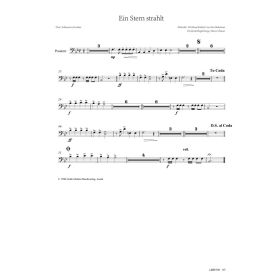 Produktbild des Artikels Noten - Download Ein Stern strahlt (Posaune)