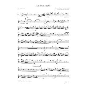 Produktbild des Artikels Noten - Download Ein Stern strahlt (Violine I)