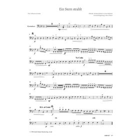 Produktbild des Artikels Noten - Download Ein Stern strahlt (Kontrabass)