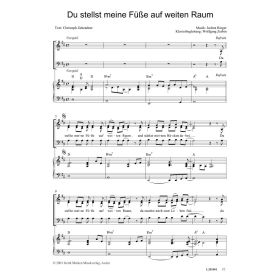 Produktbild des Artikels Noten - Download Du stellst meine Füße auf weiten Raum