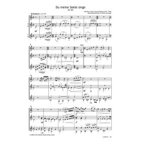 Produktbild des Artikels Du meine Seele, singe (Noten - Download)