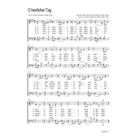 Produktbild des Artikels Noten - Download O herrlicher Tag