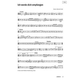 Produktbild des Artikels Ich werde dich empfangen (Viola) (Noten - Download)