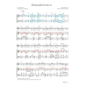Produktbild des Artikels Darum jubel' ich Dir zu / Stand Here And Rejoice (Noten - Download)