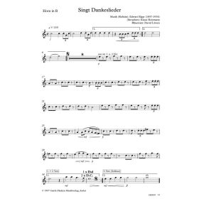 Produktbild des Artikels Singt Dankeslieder (Horn in B) (Noten - Download)