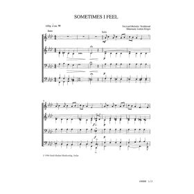 Produktbild des Artikels Sometimes I Feel (Noten - Download)