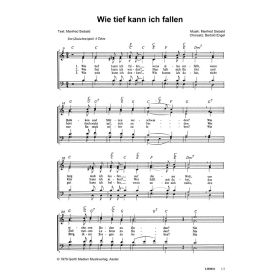 Produktbild des Artikels Noten - Download Wie tief kann ich fallen