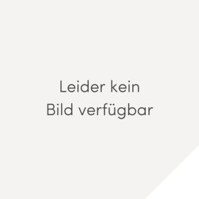 Produktbild des Artikels MP3-Album - Download Das Leben ist Sieger - Die Kleine Kantate zur Osterzeit