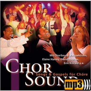 Produktbild des Artikels Salvation (MP3-Track - Download)